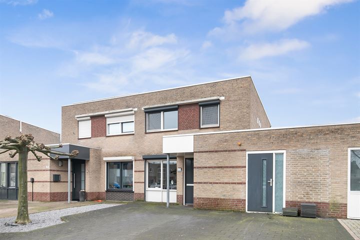 Kaardebol 37 dans Venray photo
