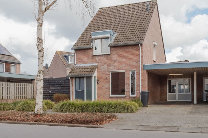 Kabroekstraat 38 in America photo