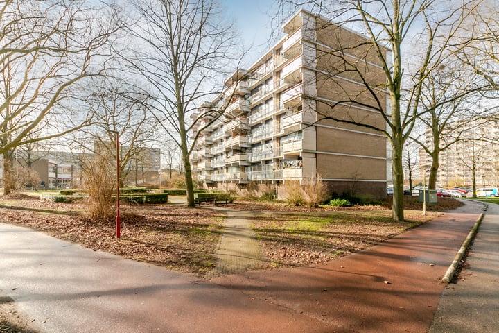 Kadoelerbos 43 in Zoetermeer