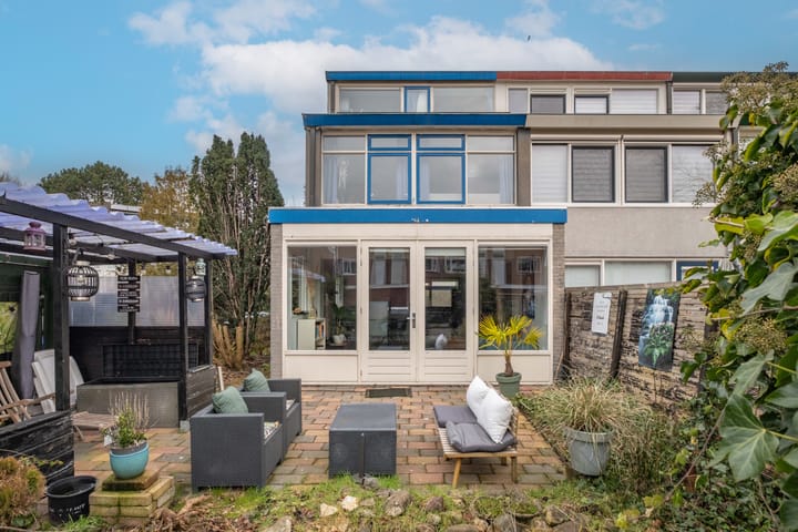 Kamgras 181 in Leeuwarden photo