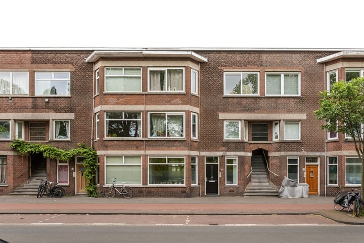 Kamperfoeliestraat 143 in 's-Gravenhage photo