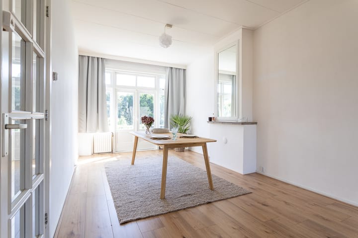 Kamperfoeliestraat 217 in 's-Gravenhage