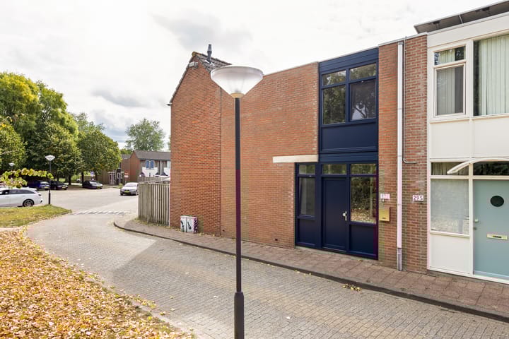 Kanariesprenk 377 in Vlissingen