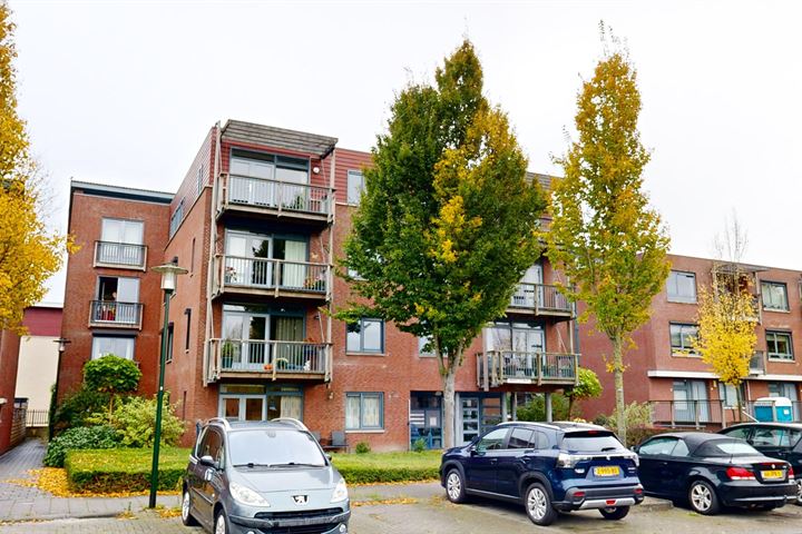 Kardeel 41 in Raamsdonksveer