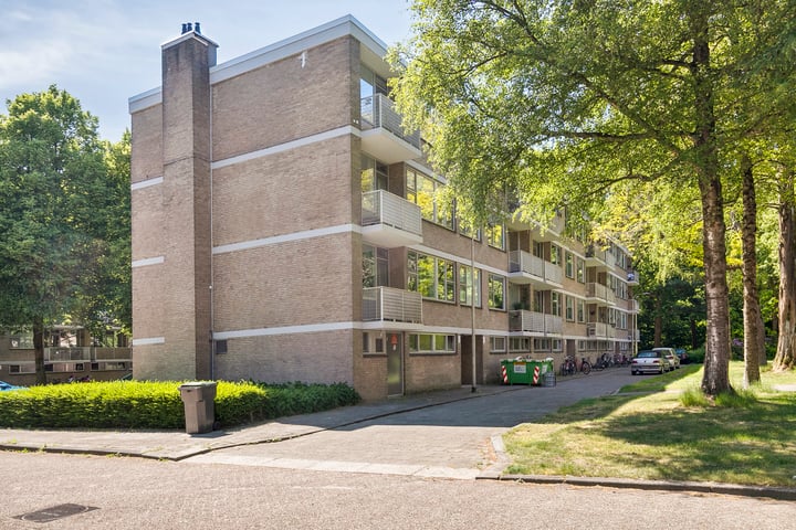 Kasteel Nijenrodestraat 209 in Tilburg