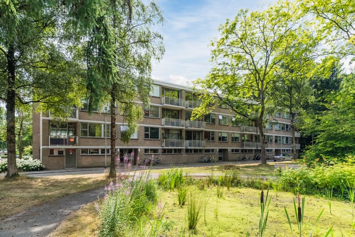 Kasteel Nijenrodestraat 227 in Tilburg