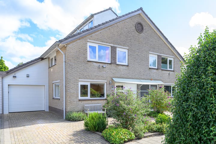 Keizerfazant 21 in Heerhugowaard