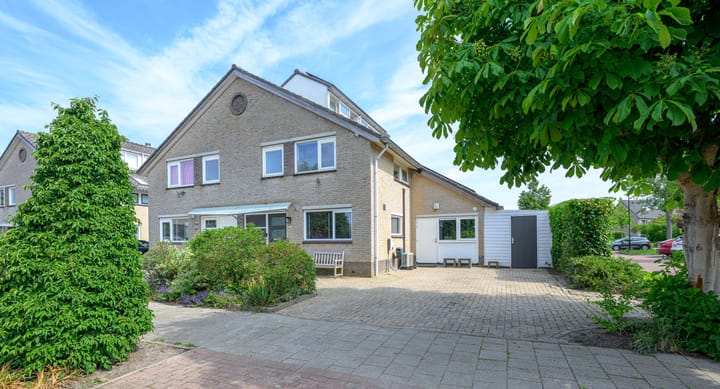 Keizerfazant 23 in Heerhugowaard