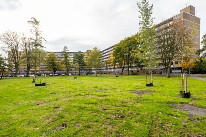 Kelloggplaats 248 in Rotterdam