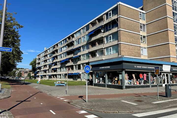 Kerkwervesingel 241 in Rotterdam