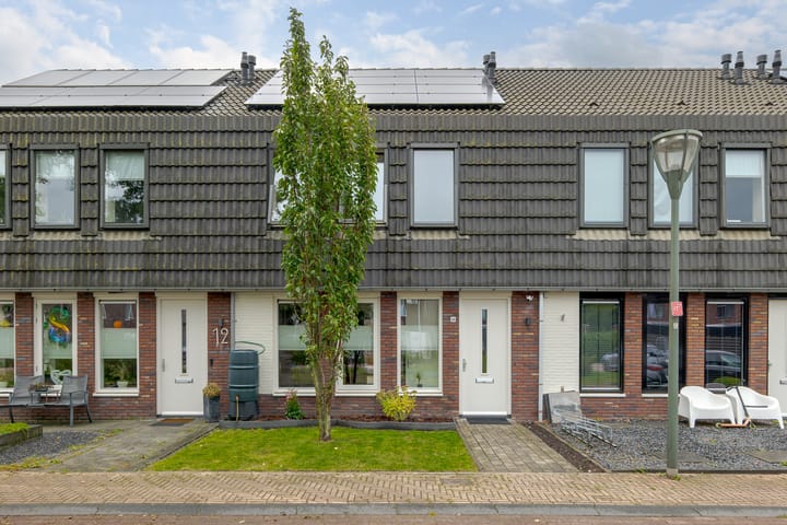 Kersenboom 14 in Leek