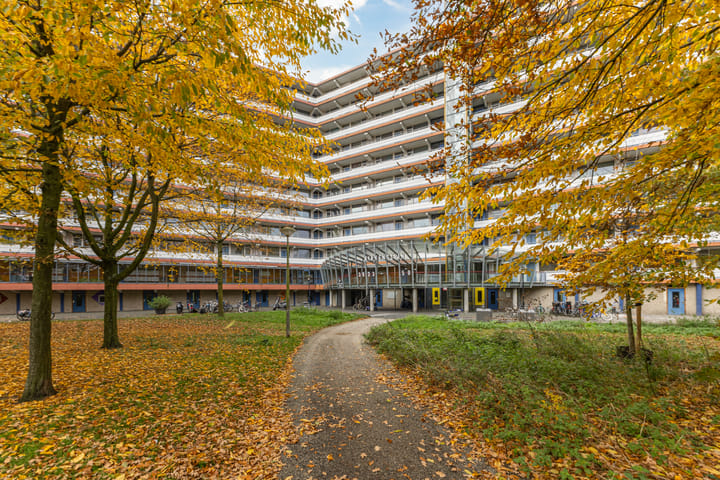 Kikkenstein 3743 in Amsterdam foto