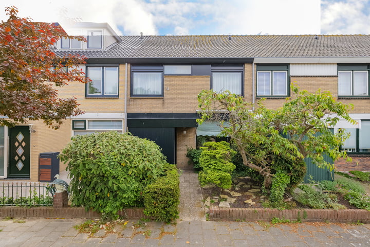 Kleine Pan 7 in IJmuiden