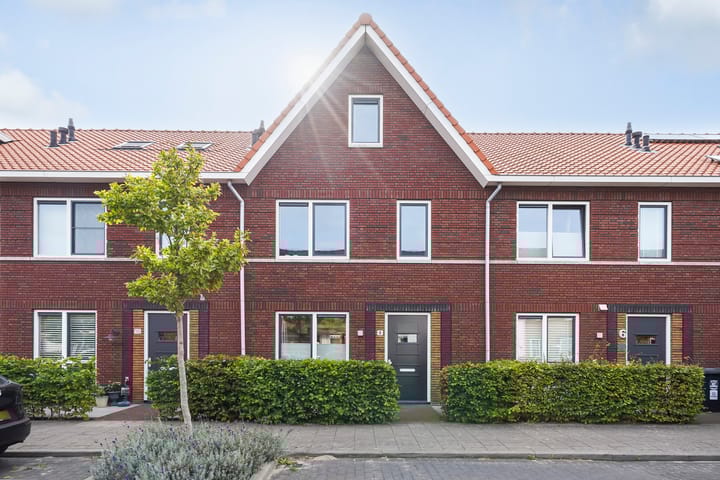 Kleine vos 8 in 's-Gravenzande