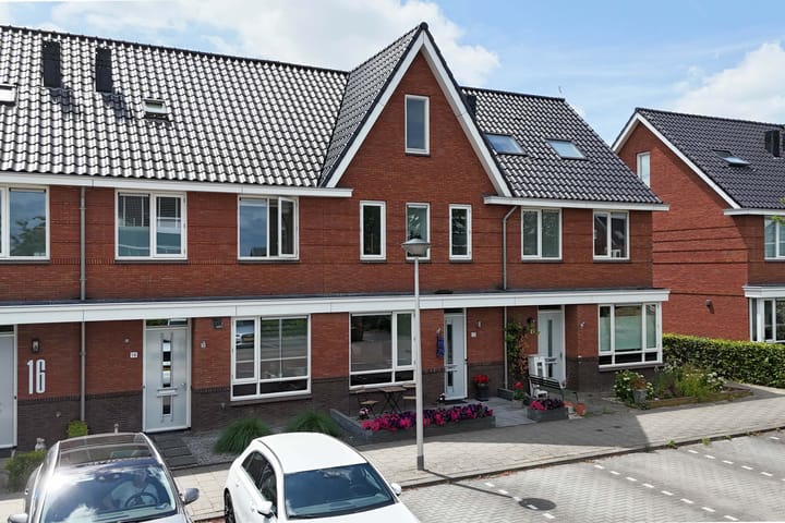 Klimroos 12 in Zevenhuizen