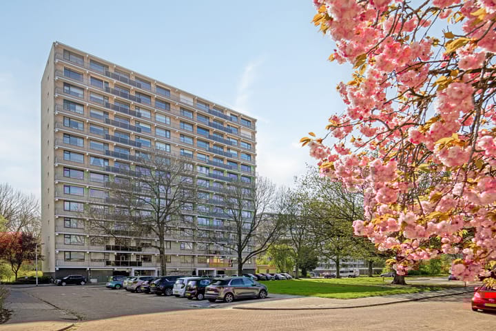 Kloosplantsoen 117 in Ridderkerk