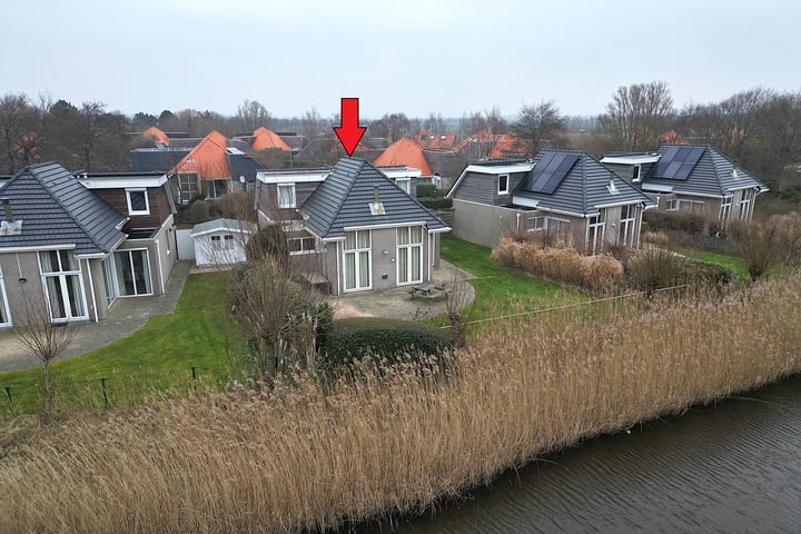 Kluut 3 in Zoutelande