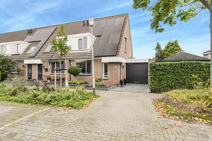 Koekoeksbloem 2 in Breda