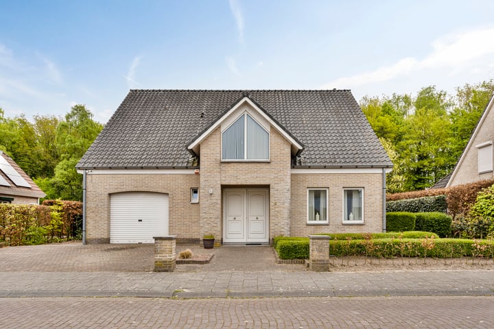 Koekoeksbloem 4 in Hulst