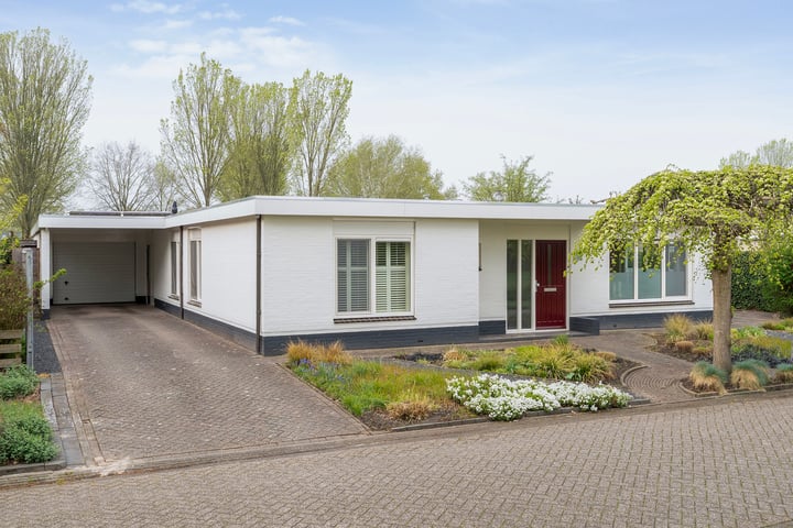 Koereiger 9 in Emmen