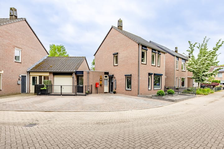 Kogeldistel 8 in Venray