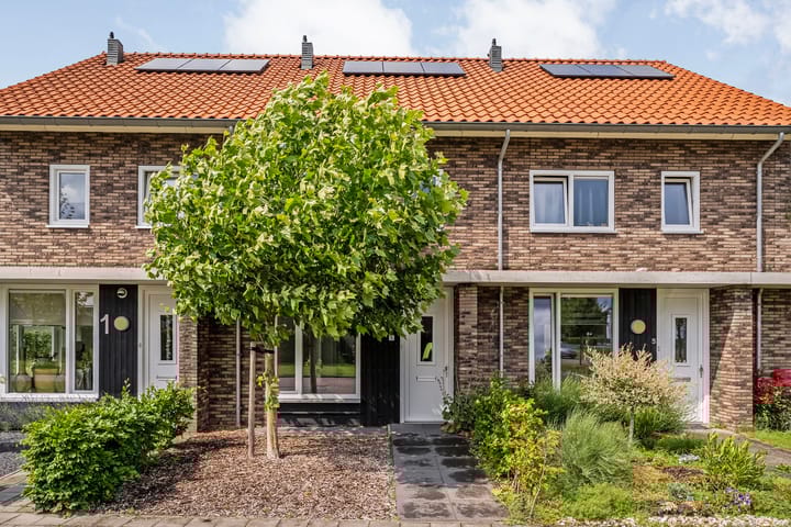 Kokkerije 3 in de Wijk Foto