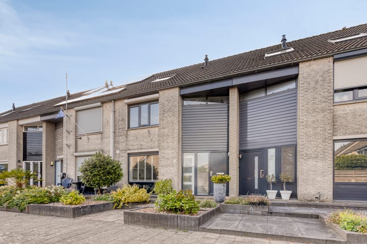 Kokmeeuw 10 in Bergen op Zoom