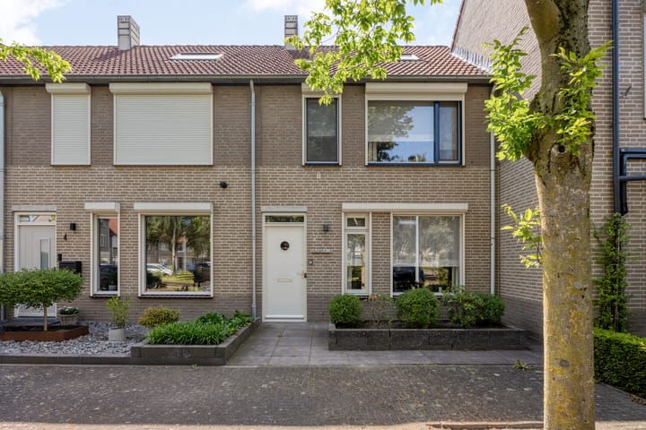 Kokmeeuw 2 in Weert