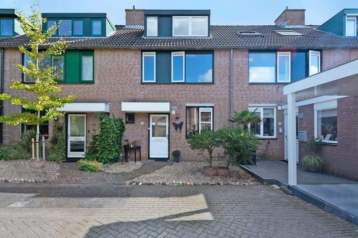 Kolibrievlinder 14 in Amersfoort photo