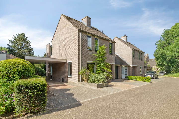 Kolibrievlinder 22 in Amersfoort