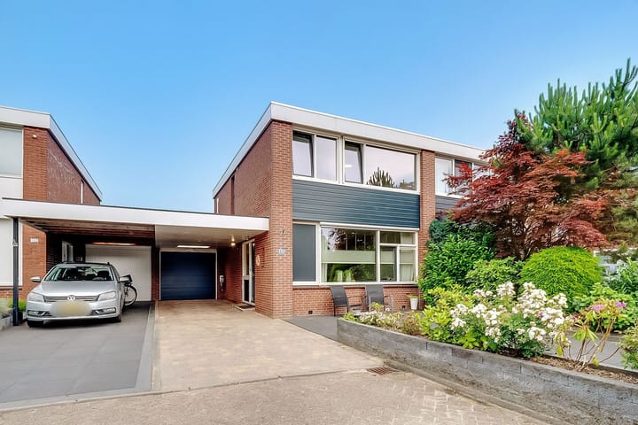 Kolkrijst 151 in Hoogland