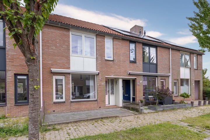 Koolmees 37 in Hoorn