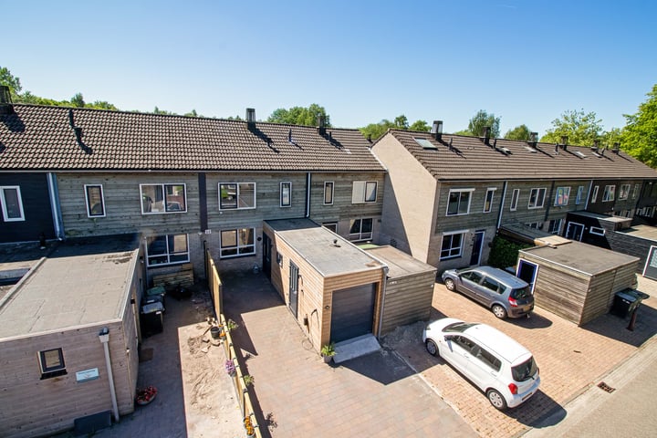 Koolmees 49 in Emmen