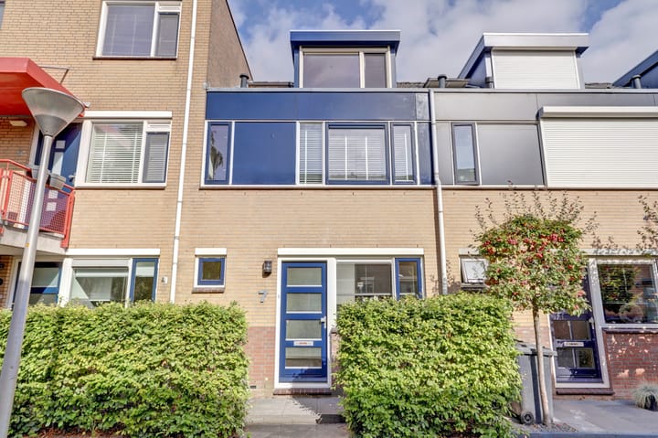 Koolmees 7 in De Lier