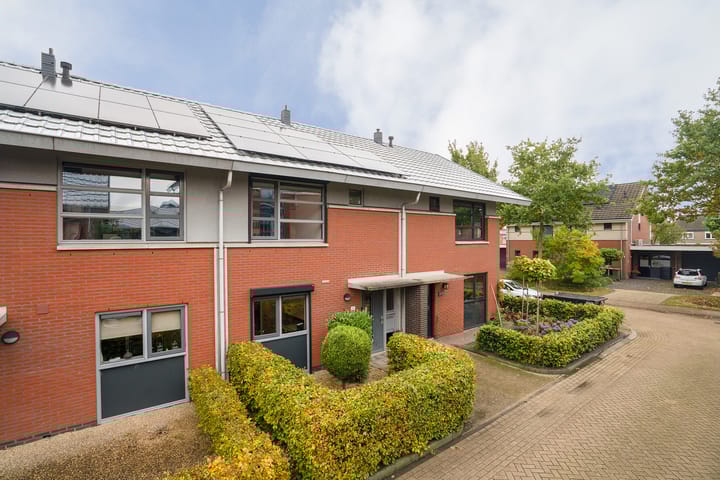 Kopervlinder 4 in Enschede