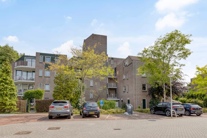 Koraalzwam 107 in Alphen aan den Rijn