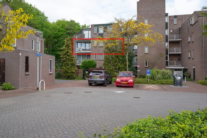 Koraalzwam 119 in Alphen aan den Rijn