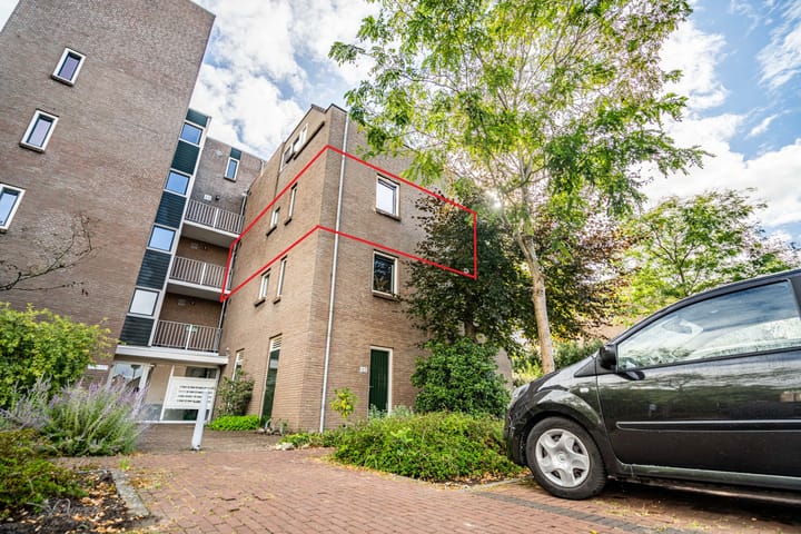 Koraalzwam 125 in Alphen aan den Rijn foto
