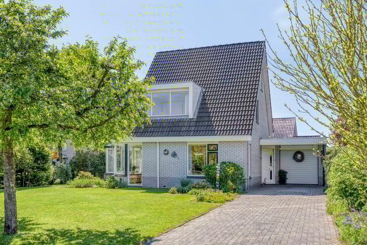 Korenbloem 1 in Gieten