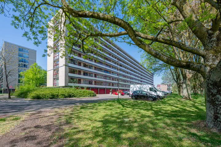 Korfoedreef 41 in Utrecht