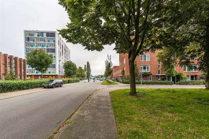 Kraanvogelstraat 96 in Groningen