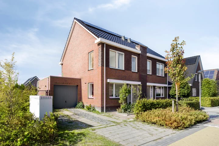 Krokus 36 in Andijk