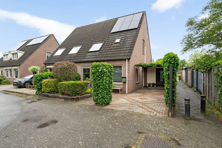 Kuifeend 19 in Emmen