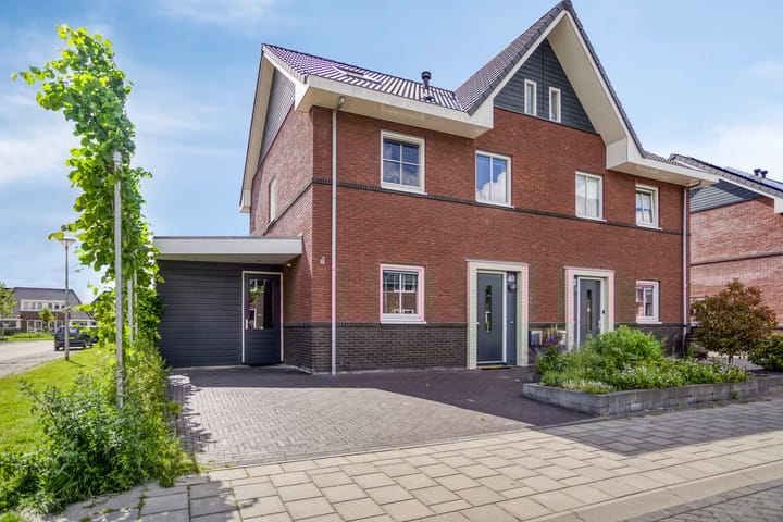 Kuifeend 40 in Bedum