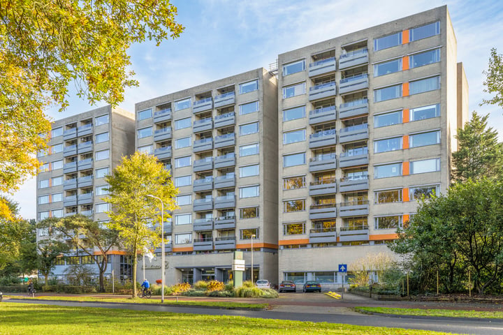 Laan van Borgele 40F-204 in Deventer