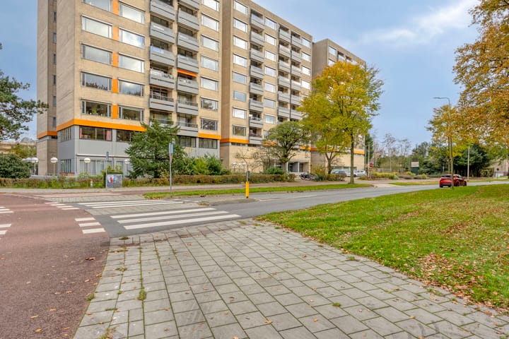 Laan van Borgele 40F-612 in Deventer