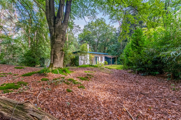 Photo of property Laan van Laag Kanje 28r-1, Maarn