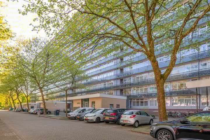 Laan van Vollenhove 2637 in Zeist
