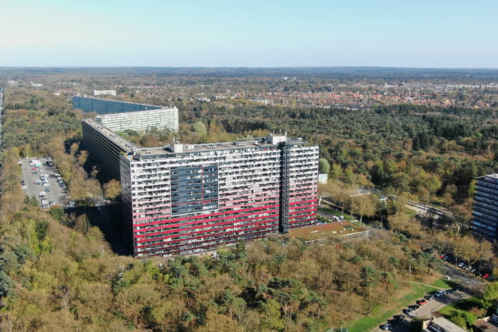 Laan van Vollenhove 490-BIS in Zeist