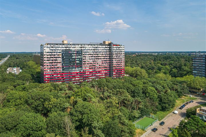 Laan van Vollenhove 626 in Zeist